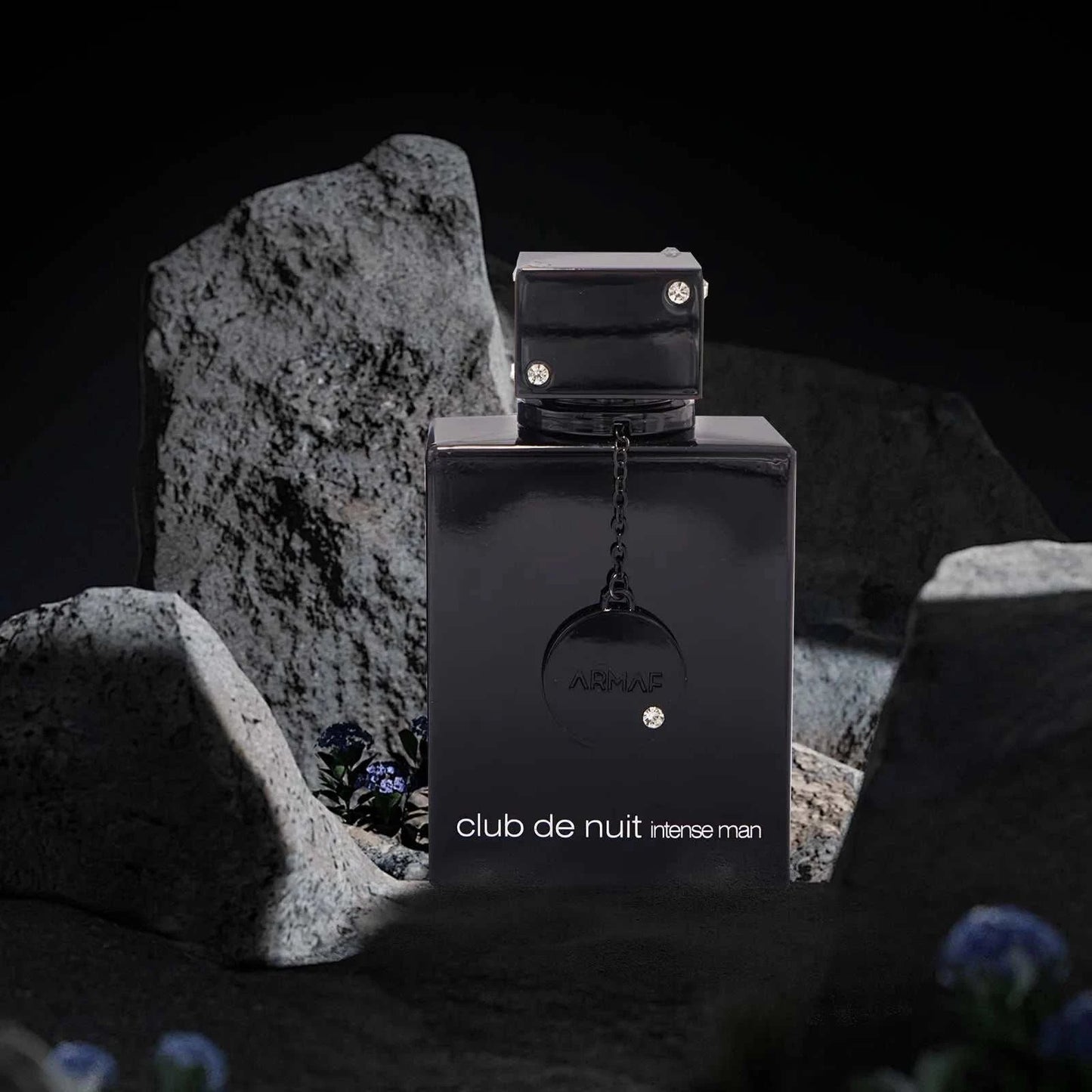 Armaf Night Club Wild Black Edition – Woody Floral Eau De Toilette Spray for Men | Long-Lasting Sophistication | High Demanded Fragrance of 2024 & 2025