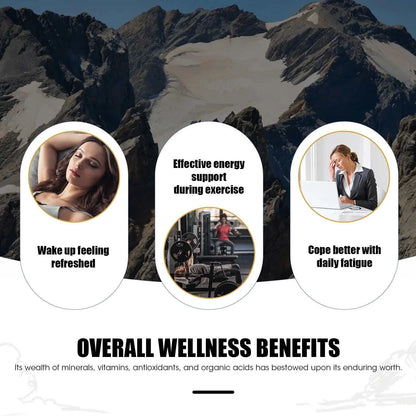 Vitality Boost Shilajit